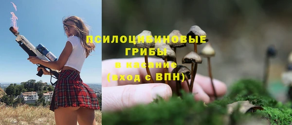 прущая мука Белокуриха