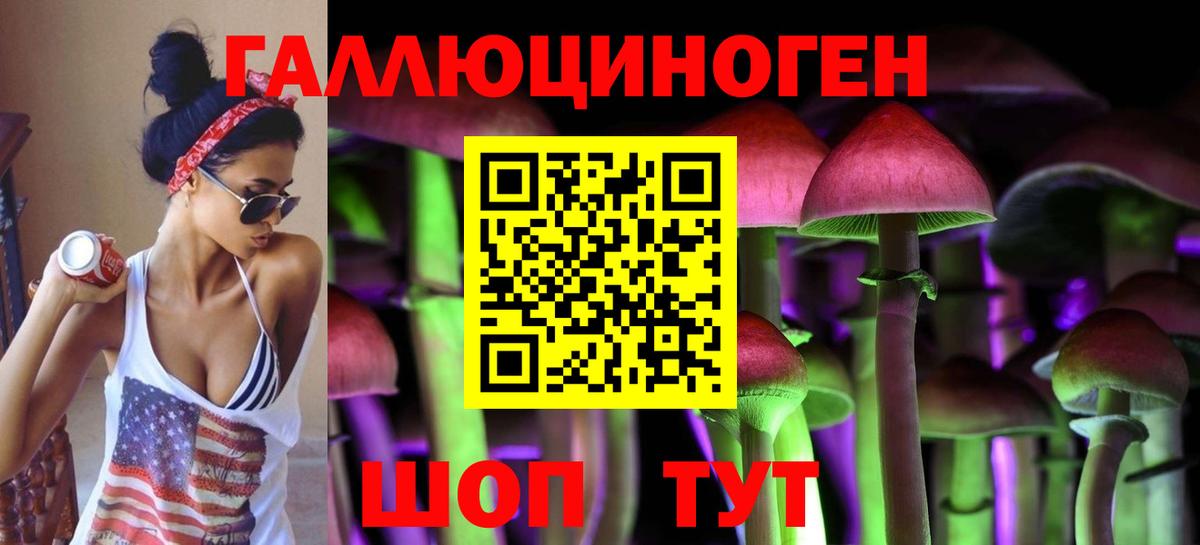 Псилоцибиновые грибы Psilocybine cubensis  Вход с VPN  Великие Луки 